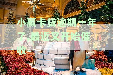 小赢卡贷逾期一年仍被催收，如何妥善处理？了解详细解决方法和应对策略！