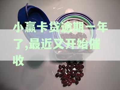 小赢卡贷逾期1年，催收情况如何？