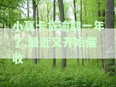 小赢卡贷逾期一年多，收到公诉短信真实性如何？我应该如何应对？