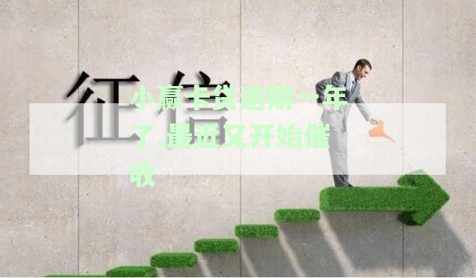 小赢卡贷逾期一年了,最近又开始催收