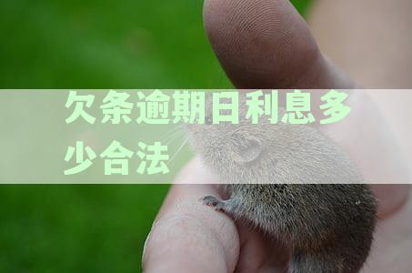 欠条逾期日利息多少合法：相关法律规定及处理方式