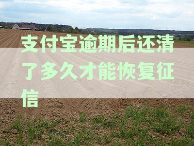支付宝逾期后还清多久征信恢复花呗额度及记录