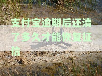 支付宝逾期后还清了多久才能恢复征信