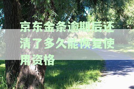 京东金条逾期后还清了多久能恢复使用资格？逾期还款后如何恢复正常使用？