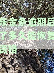京东金条逾期还款后，何时能恢复正常使用？需要多久时间？