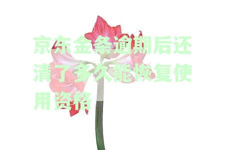 京东金条逾期还款后再次使用的机会和时间长度是多久？