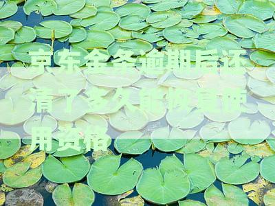 京东金条逾期还款后，借款申请恢复时间及再次借款的相关规定