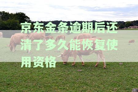 京东金条逾期后还清了多久能恢复使用资格