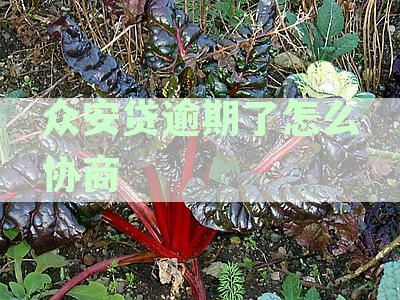 众安贷逾期了怎么协商期还款，易鑫贷款如何处理逾期后的还款问题