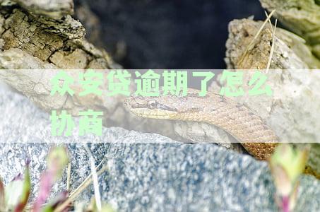 众安贷逾期了怎么协商