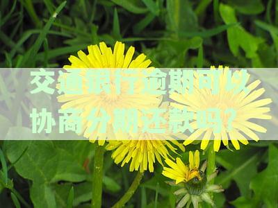交通银行逾期可以协商分期还款吗怎么还：解答疑问与处理策略