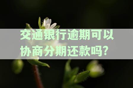 交通银行逾期可以协商分期还款吗?