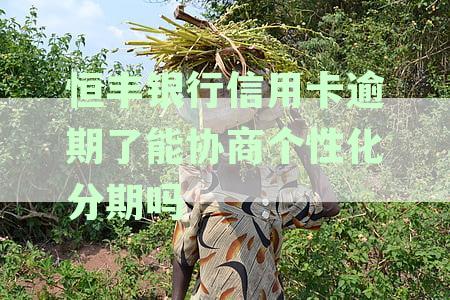 关于恒丰银行信用卡逾期后的还款协商与个性化分期探讨