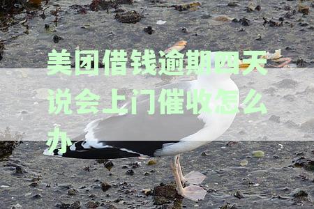 美团借钱逾期四天后，催收公司即将上门，我该怎么办？