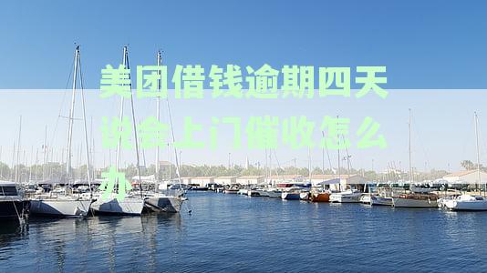 美团借款逾期后可能面临的催收方式与处理措探究