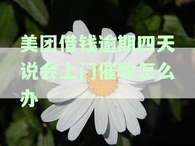 美团逾期3天说要上门核实：是真的还是恶作剧？