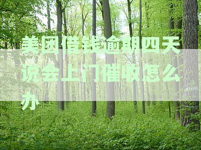 美团贷款逾期后的催收流程与时间探讨