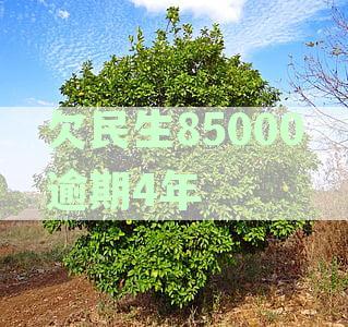 民生逾期一年找谁协商解决？如何办理分期还款和协商期8个月？