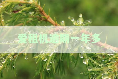 爱租机逾期一个月怎么办？如何协商还款？