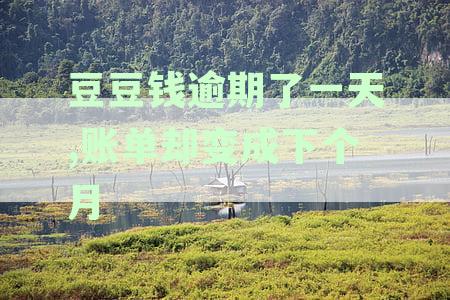 豆豆钱还款晚了一天，直接跳到下期账单：逾期一天后账单变下月，如何处理？