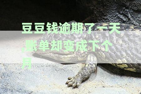豆豆钱逾期了一天,账单却变成下个月