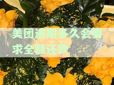 美团逾期还款政策详解：多久会要求全额还款？一次还清的处理方式是什么？