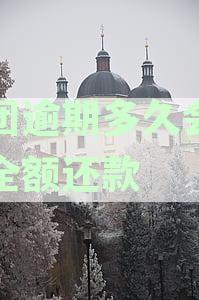 美团逾期多久会要求全额还款