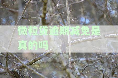 新在微粒贷逾期情况下，如何申请减免还款利息？