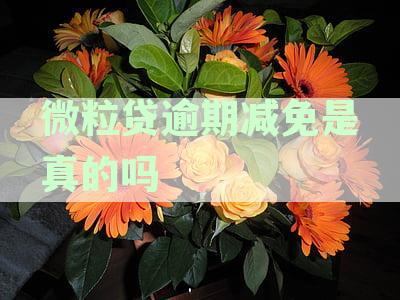 微粒贷逾期费减免策略：如何降低逾期费用并解决还款困扰？