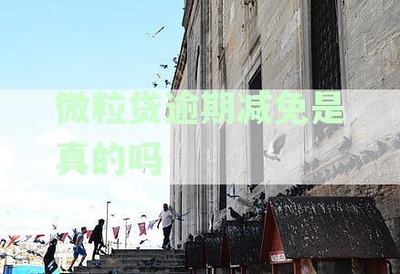 微粒贷逾期后免除利息罚息计算方式及可能减免情况