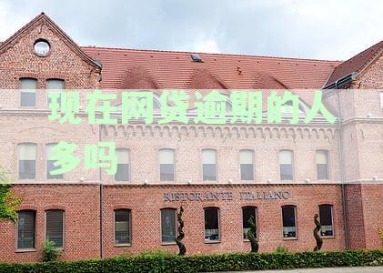 网贷逾期现象加剧：最新数据揭示受影响人群数量与原因，如何避免逾期风险？