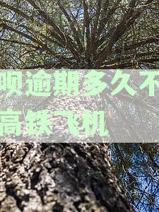 借呗逾期90天将影响信用，甚至导致无法乘坐高铁飞机