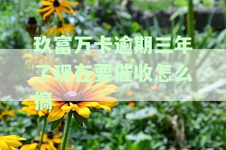 三年后仍未还款的玖富万卡：如何应对逾期起诉及处理催收问题