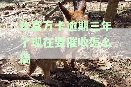 玖富万卡逾期三年了现在要催收怎么搞