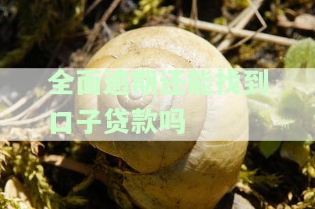 全面逾期还能找到口子贷款吗