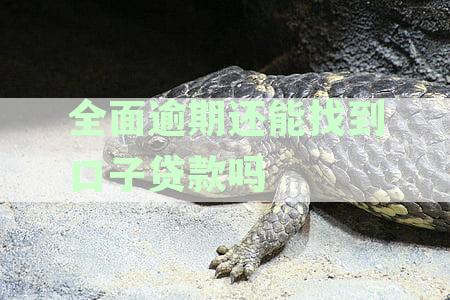 全面逾期了-全面逾期了哪里还可以借钱