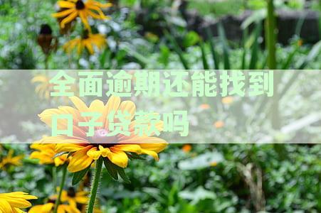 全面逾期还能找到口子贷款吗