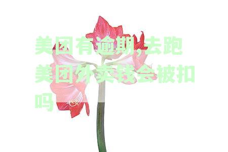 美团逾期，外卖订单会被扣款吗？如何处理？