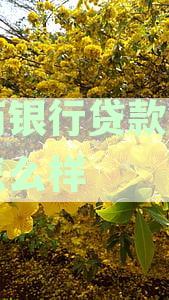 农商银行贷款逾期会怎么样