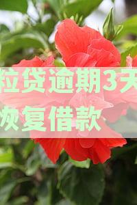 微粒贷逾期三天的还款策略与解决办法