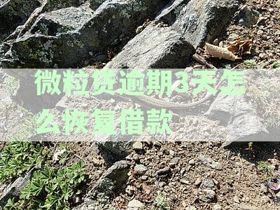 微粒贷逾期3天会怎样？处理方法与后果