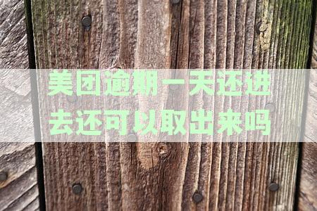 美团逾期一天的影响及其解决办法