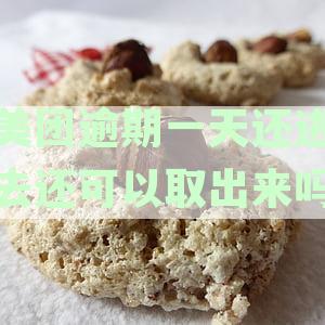美团逾期一天还进去还可以取出来吗