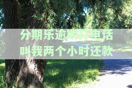分期乐逾期打电话叫我两个小时还款