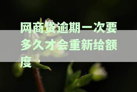 网商贷逾期一次要多久才会重新给额度