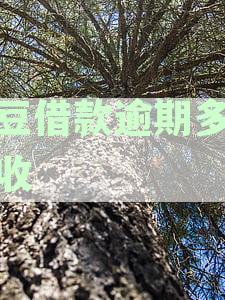 芸豆借款逾期多久催收