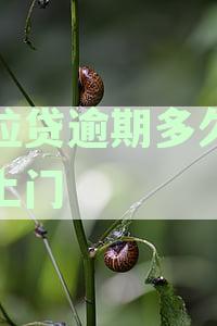 微粒贷逾期还款周期与联系方式探讨：借款人面临何种催收策略？