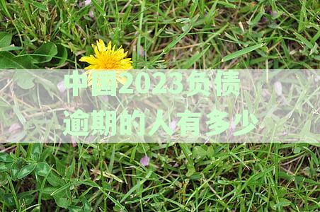 '中国2023负债逾期人数统计：揭示未来一年的挑战与机遇'