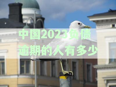 全国老失信人数逾期负债数据揭秘：中国债务危机真相剖析