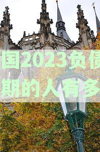 2020年全国负债率和逾期率详细数据解析：企业、政府和个人债务状况一网打尽